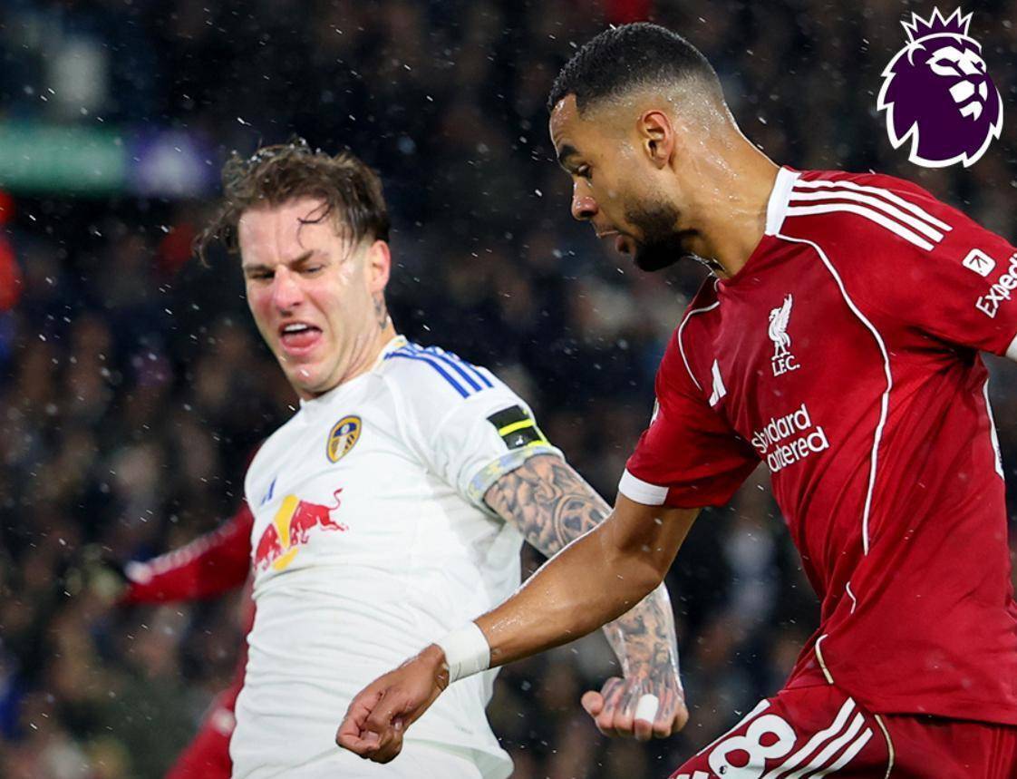 山东泰山最新消息引援今天